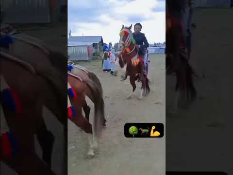 Abba Farda Ethiopianmusic Eritreanmoviie Dance Eritrian Shortvideo Habesha