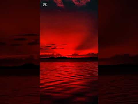 أغنية محمد نبينا     