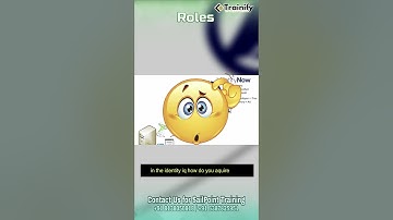 Understanding Roles and Entitlements in SailPoint |  A Comprehensive Overview