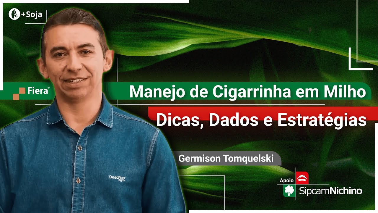 CIGARRINHA DO MILHO: Dicas, dados e estratégias - UM NOVO OLHAR | Episódio 3