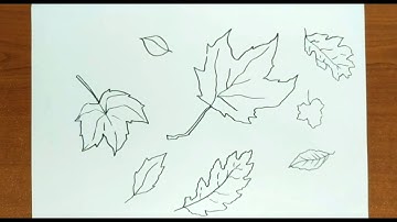 How To Draw AUTUMN FALL LEAVES Step by Step