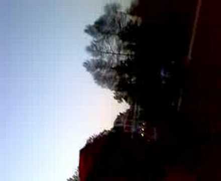 Alex en Xio: Vondelpark skateboard