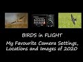 Birds in Flight Photography - My Favourite Camera Settings and Images of 2020