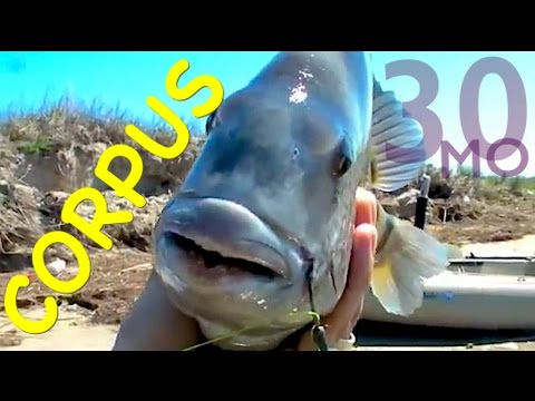 30 MILES OUT #13 kayak fishing corpus christi - speckled trout, redfish & sheep head