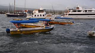 Puerto Ayora - Islas Galapagos