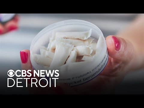 smokeless tobacco has been regulated in the sport of ritual dip and nicotine pouches sports: Charge ahead with Black Buffalo Report Advises Caution Over Smokeless