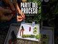 Parte del proceso… incluso lo que no se ve.🌱