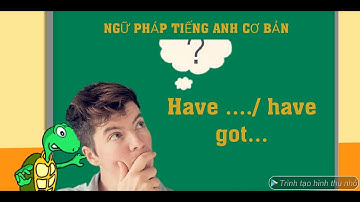 CÁCH DÙNG CỦA HAVE VÀ HAVE GOT TRONG TIẾNG ANH