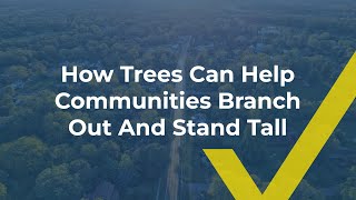 Webinar: How Trees Can Help Communities Branch Out and Stand Tall