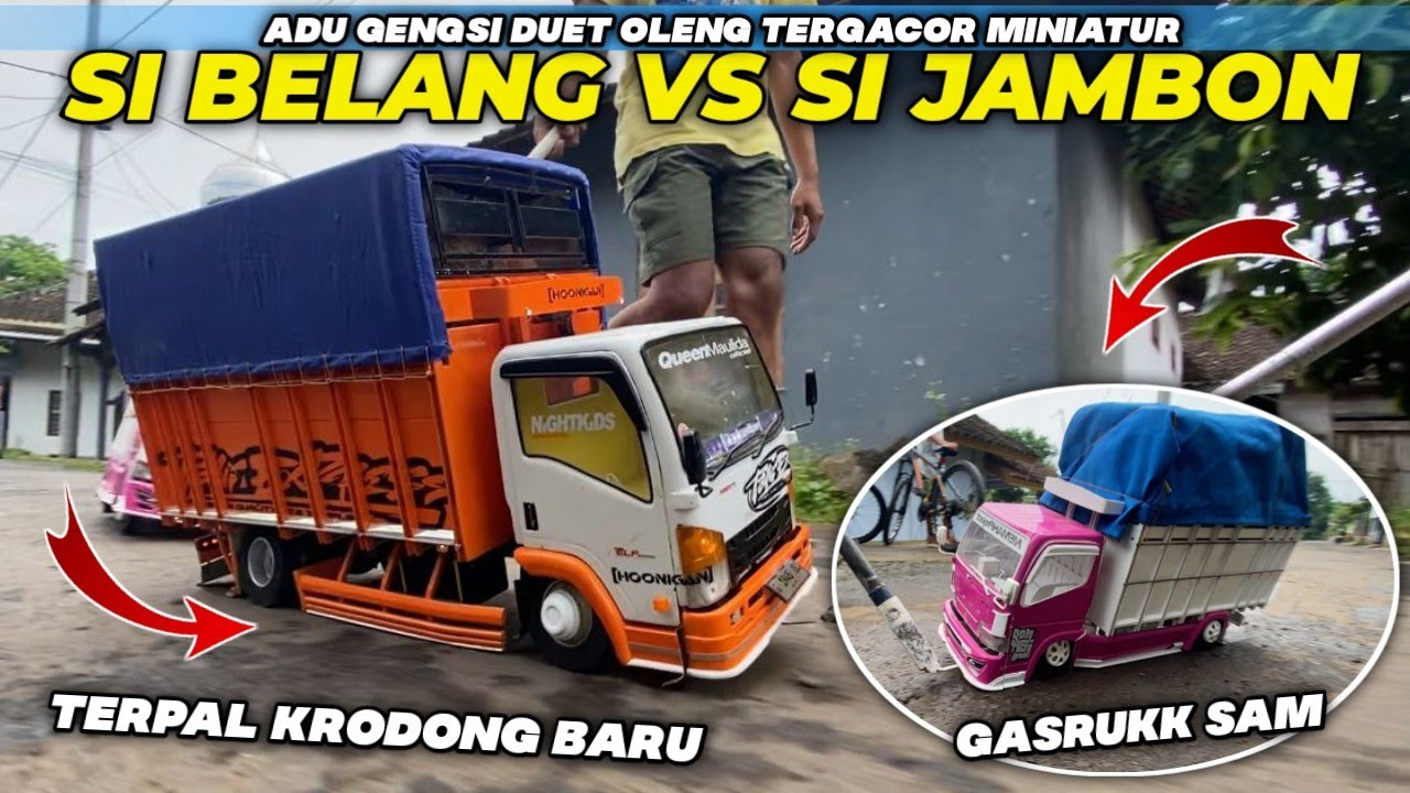 SI BELANG MODE LINTAS SUMATERA COMEBACK🔥|| DUET OLENG TER GACOR VS SI JAMBON‼️