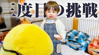 もうすぐ2歳だからさすがに動くミニオンも大丈夫だよね？/Boy Gets Scared by Talking Minion