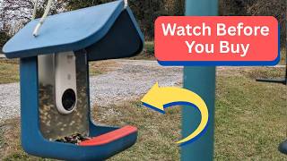 Honest Review of Birdbuddy
