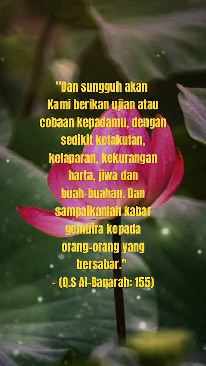 kata motivasi//quotes islami//kata bijak//kata mutiara//renungan#shorts