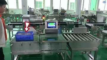 30kgs weight load weight checking machine with roller and rejector#weightchecker #qualitycontrol