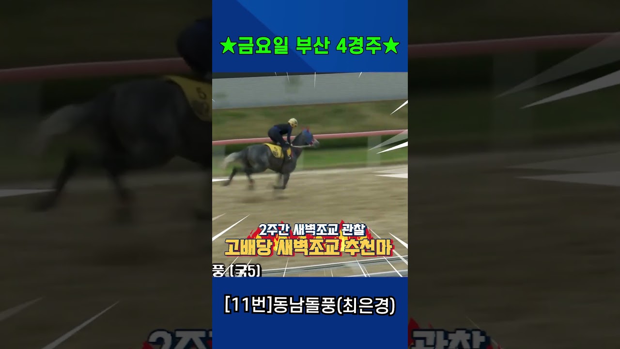 4월17일 금요일 부산4경주!! 2주간 훈련보인 강백호의 새벽조교 쏘스마!!