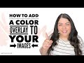 How To Add A Color Overlay To Your Images | Canva Tutorial