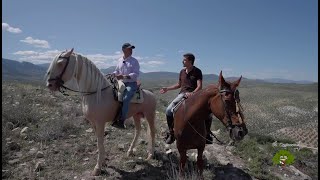 El torero y ganadero José Carlos Venegas cría caballos para trabajar en el campo