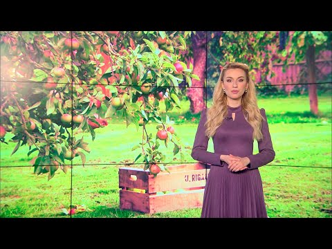 Дожди всю неделю! Будет ли потепление? Прогноз погоды с 25 апреля по 1 мая 2022. Погода на неделю