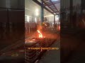 Molten steel 