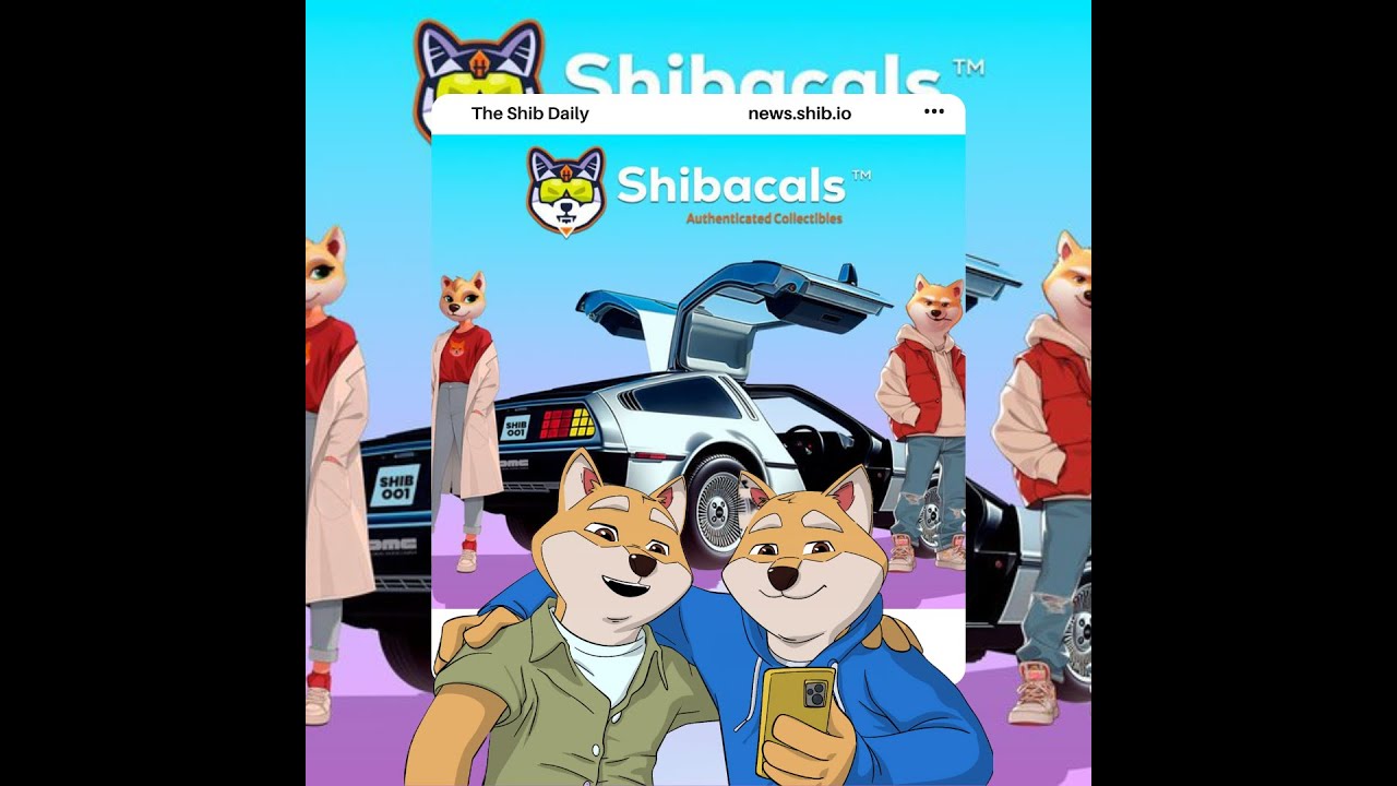 DeLorean Labs and Shiba Inu Team Up for Exclusive NFT-Chipped Action Figure  Giveaway – The Shib Daily