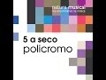 5 a seco policromo