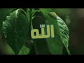 هل لك سر عند الله