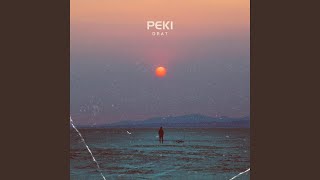 PekiDrat (Phonk Techno Sigma)