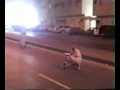 شعب محشش ههههههه