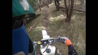 Wandong 1 2021