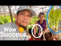 Binhi ng LAKATAN update success +tips& tutorial.Gha Agri tv