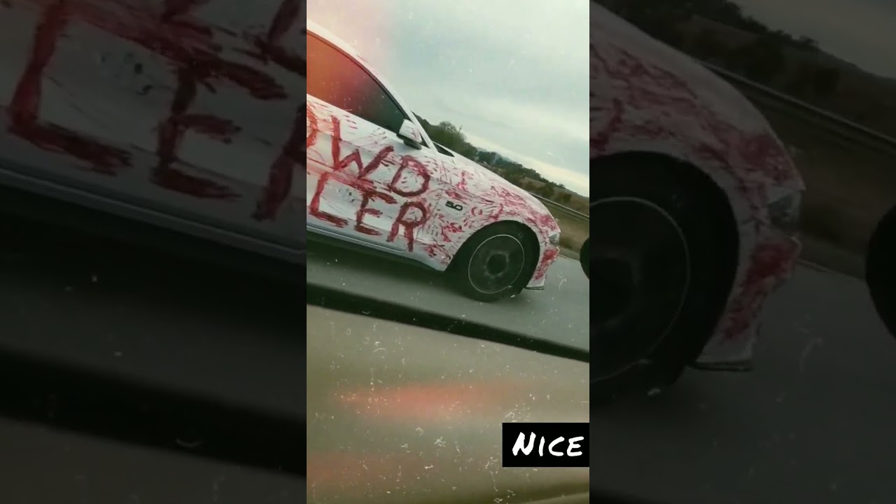 Mustang Crowd Killer