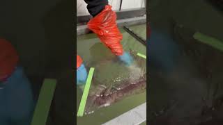 Hydro Dipping Wc Lid