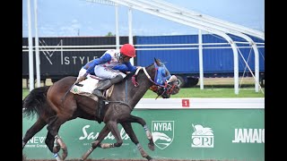 JAMAICA RACING: Dimetry P In The Stewards’ Room At 10-1 | Sat, Sept 7, 2024, 4th