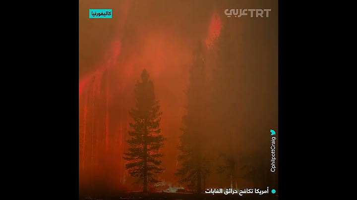 أمريكا تكافح حرائق الغابات