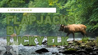THCA Chronicles: Unpacking Flapjacks: Lucky Elk’s Oregon-Grown Gem