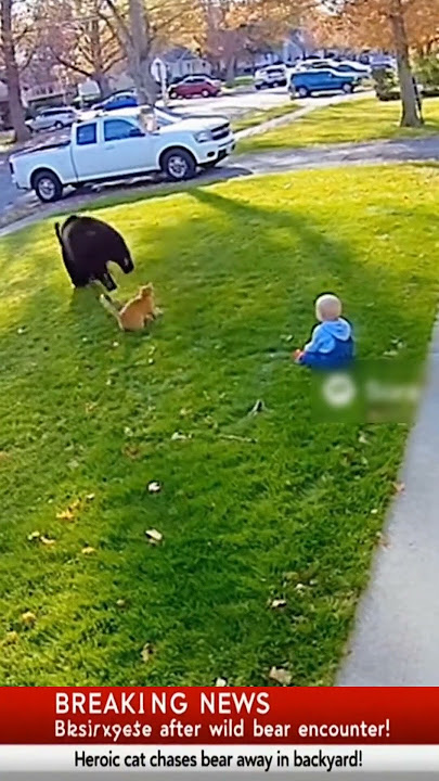 Heroic cat intervenes and saves the day in backyard! 🥰🐈 👼