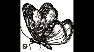 how to draw beautiful butterflies with arthritis