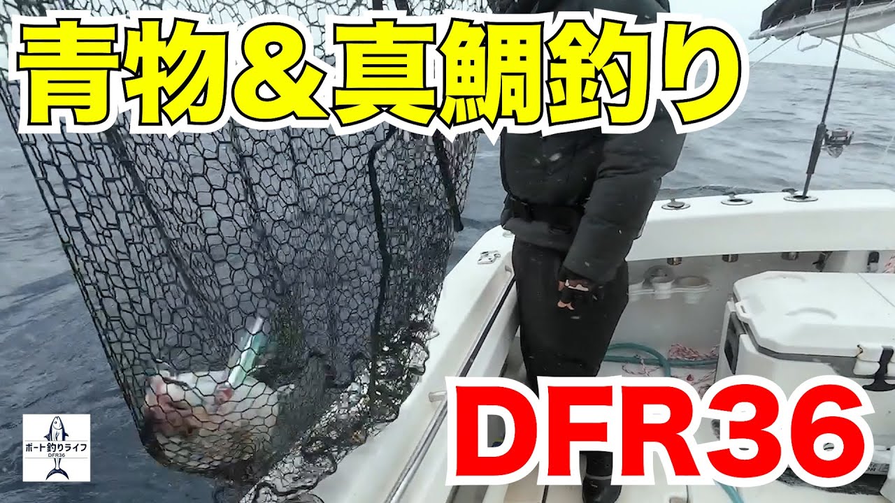 プレジャーボートで行う真鯛の数釣りと青物ジギングのリレー【DFR36 