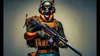 видео: MP5  картинка: MP5