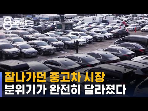 잘나가던 중고차 시장 분위기가 완전히 달라졌다 SBS 8뉴스 