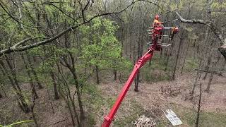 92' spider lift pruning trees in high winds by cotontop3 7,927 views 1 month ago 13 minutes, 35 seconds