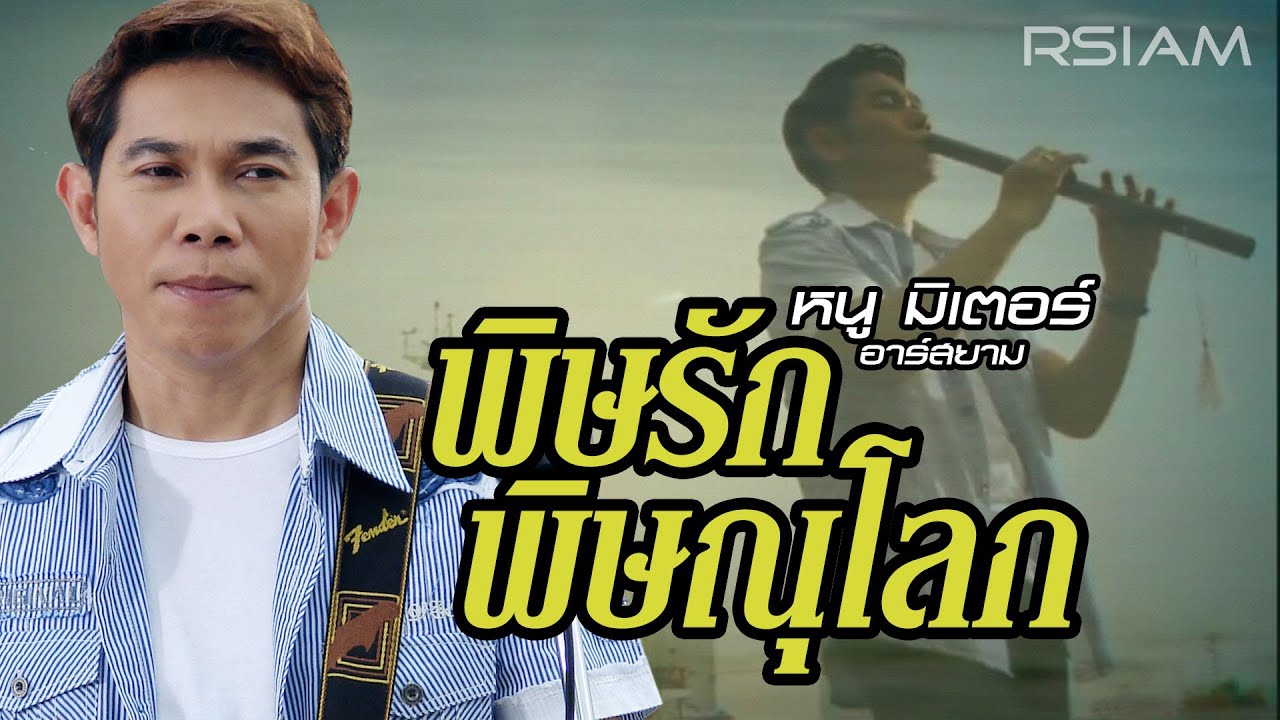 ปกเพลง พิษรักพิษณุโลก — NU METER