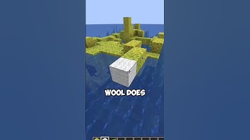 sponge or wool?