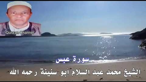 سورة عبس محمد أبو سنينة برواية قالون