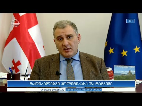 მიხეილ სარჯველაძე \"დღის ქრონიკაში\"