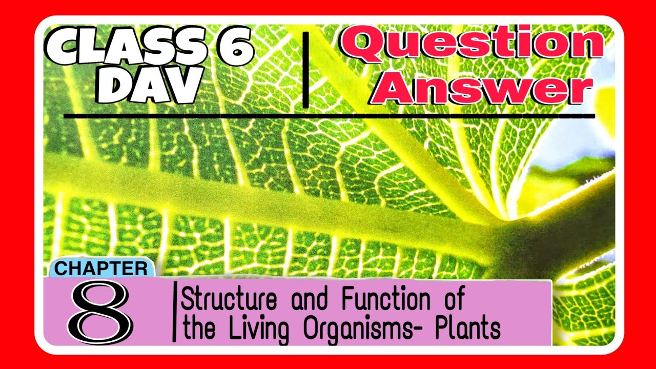 Chapter 8 question answer class 6 Science DAV - YouTube