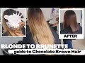 Blonde to Brunette HAIR TRANSFORMATION : How to Make Chocolate Brown Hair Color Rich