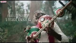 Beemala Nayak Songs