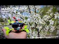 Весенние майские дни. Микро синематик 4K. Darwin Tiny Ape Freestyle x Runcam Thumb Pro v2