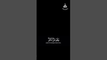 وعسى أن تكرهوا شيئا وهو خير لكم #القرآن_الكريم #quran #قرآن #سورة_البقرة #مشاري_العفاسي #تلاوة_خاشعة